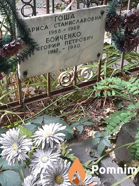 Гоша Лариса Станиславовна
