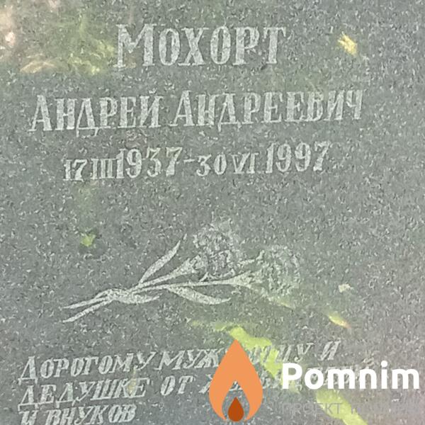 Мохорт Андрей Андреевич