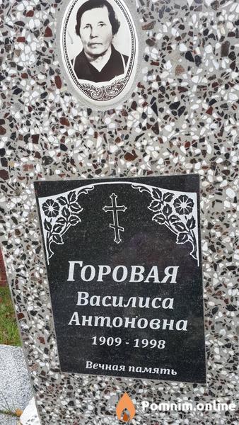 Горовая Василиса Антоновна