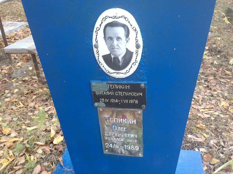 Тепикин