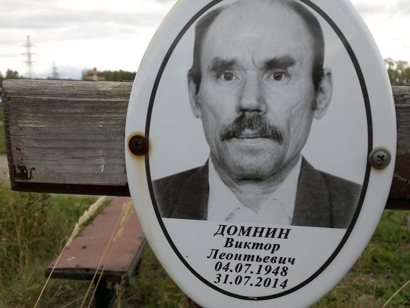 Домнин