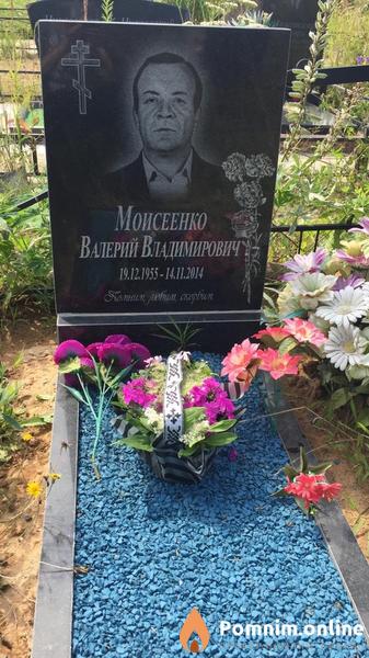 Моисеенко Валерий Владимирович
