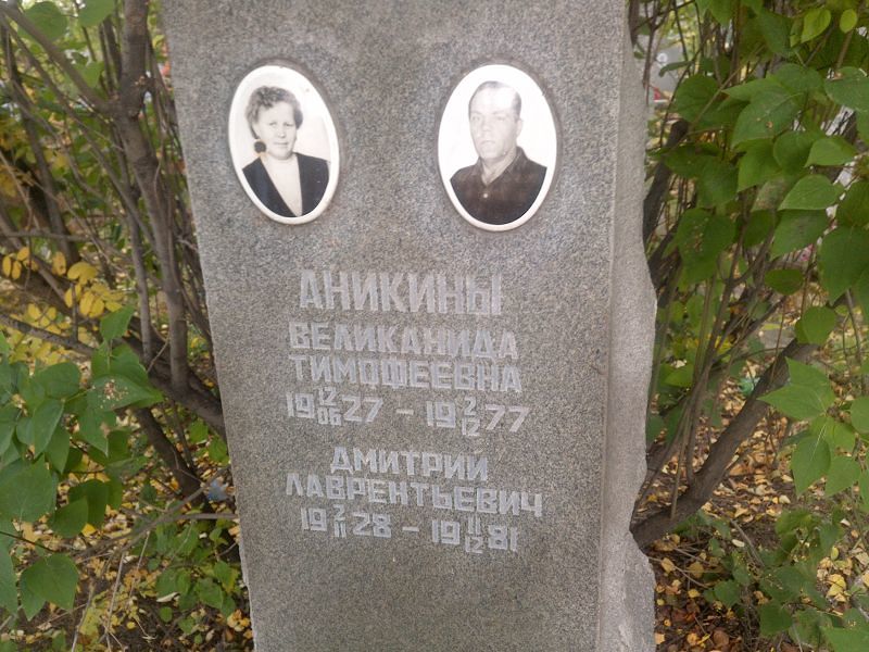 Аникин