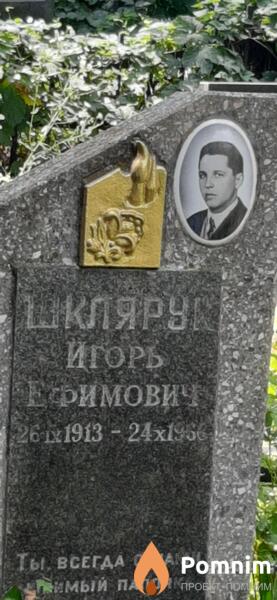 Шклярук Игорь Ефимовна