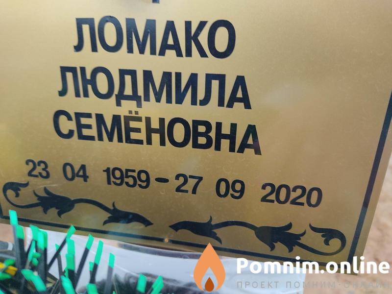 Жиженок Вовка