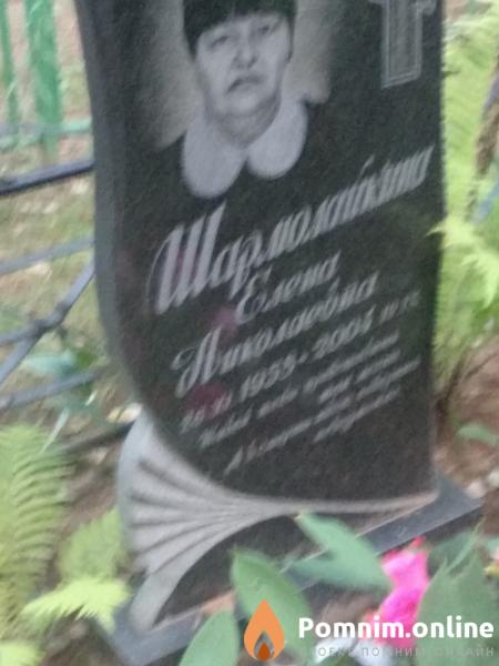 Шармолайкина Елена Николаевна