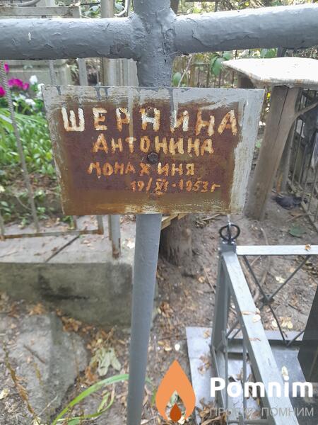 Шернина Антонина