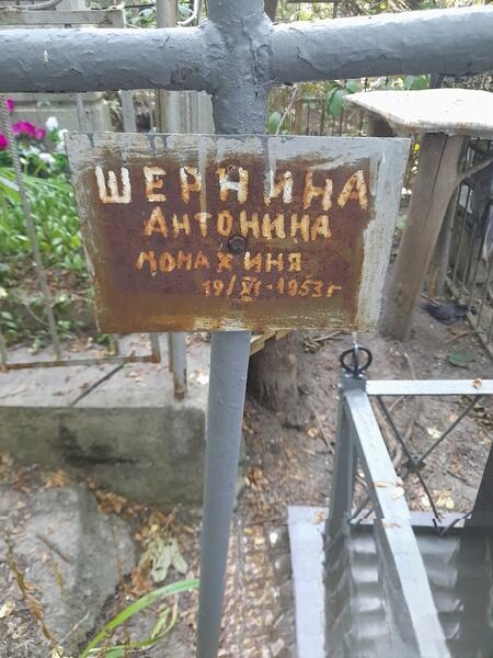 Шернина Антонина