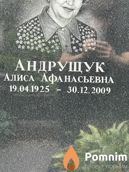 Андрущук Алиса Афанасьевна