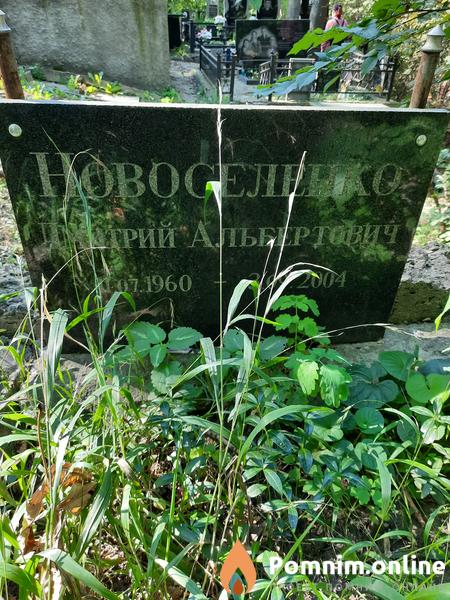 Новоселенко Дмитрий Альбертович