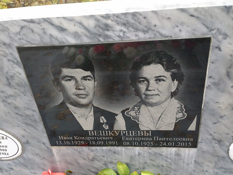 Вешкурцева
