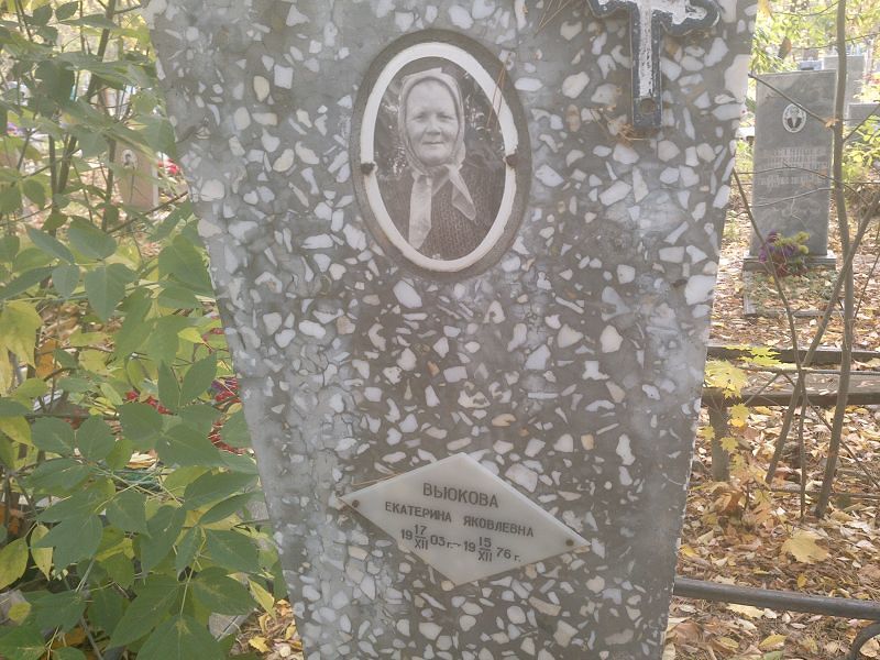 Вьюкова