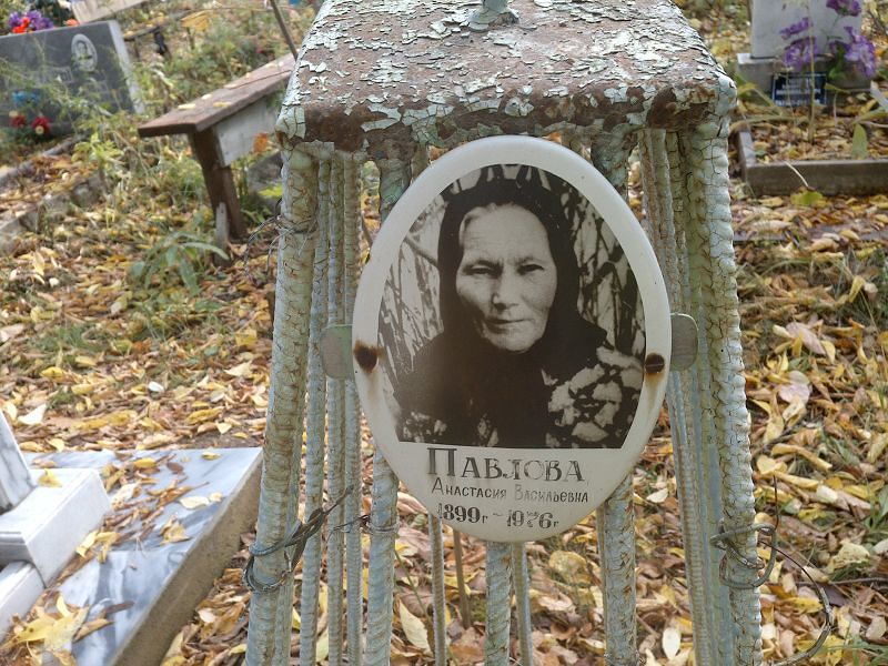 Павлова Анастасия Васильевна