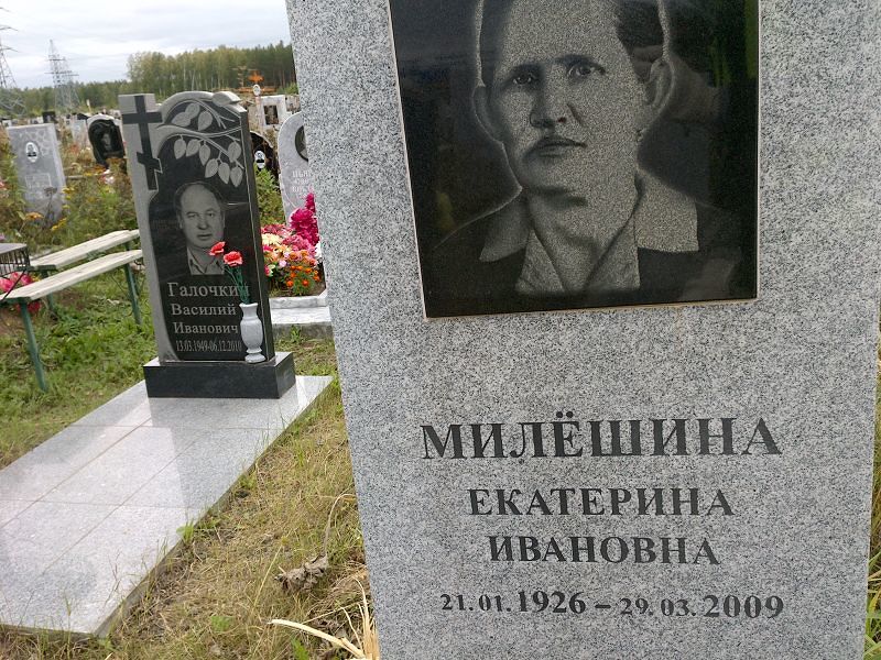 Милёшина