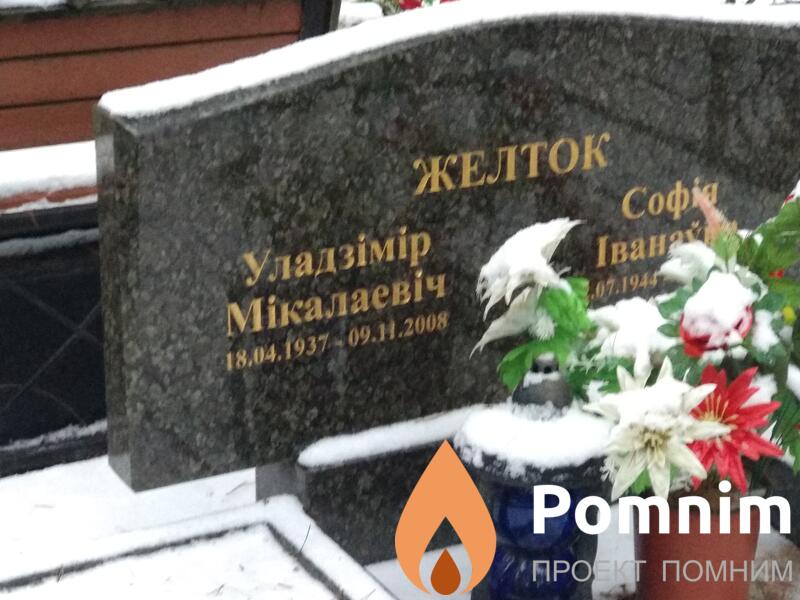 Желток Владимир Николаевич