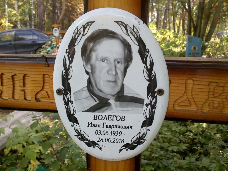 Волегов
