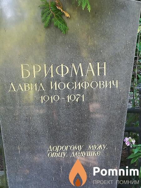 Брифман Давид Иосифович