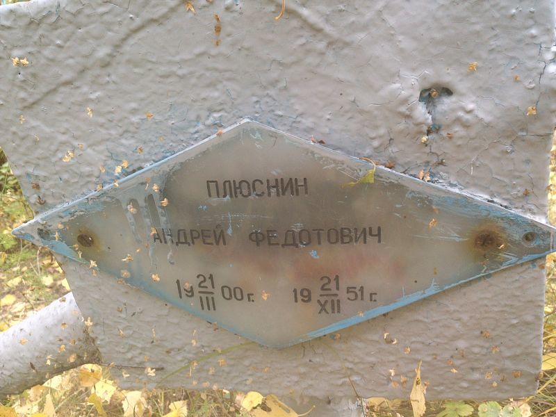 Плюснин