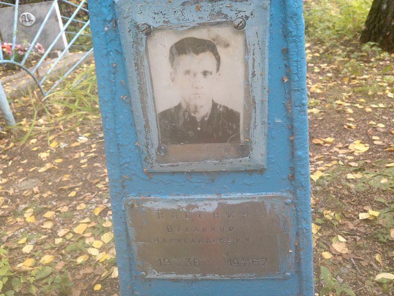 Васенин