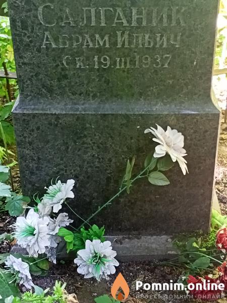 Салганик Абрам Ильич