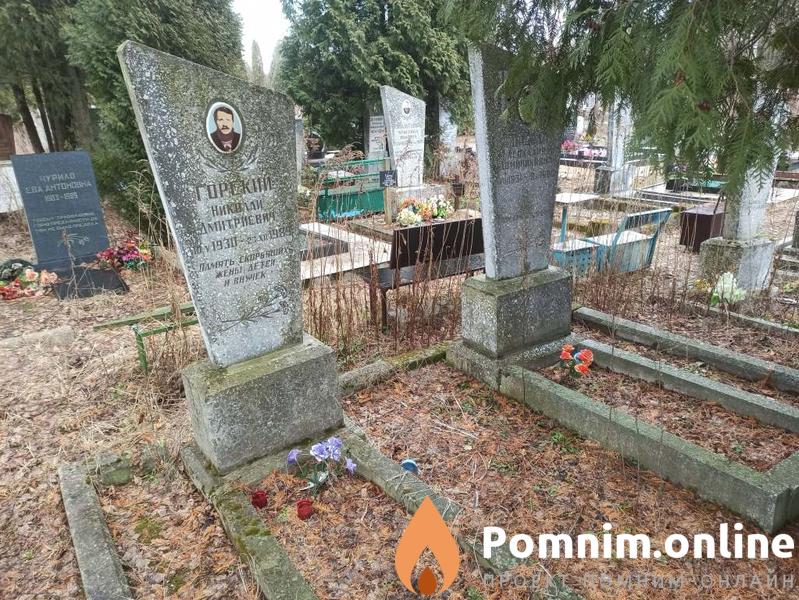 Горский Николай Дмитриевич