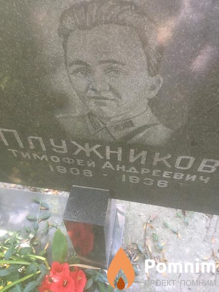 Плужников Тимофей Андреевич