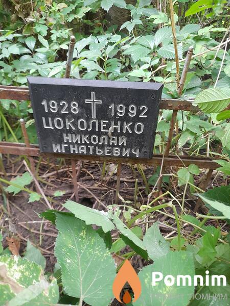 Цоколенко Николай Игнатьевич