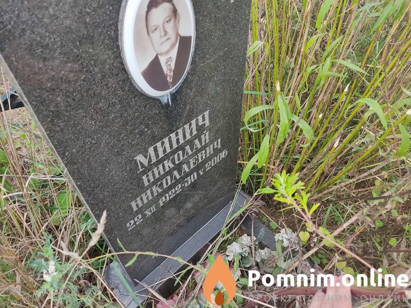 Мини Николай Николаевич