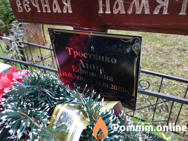 Тростянко Анна Ефимовна