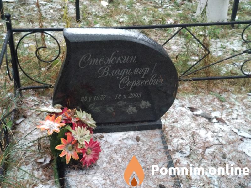 Стежкин Владимир Сергеевич