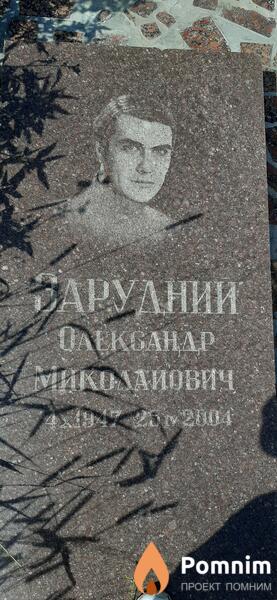 Зарудний Александр Николаевич