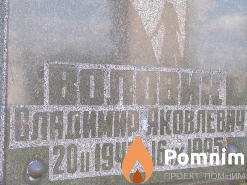 Воловик Владимир Яковлевич