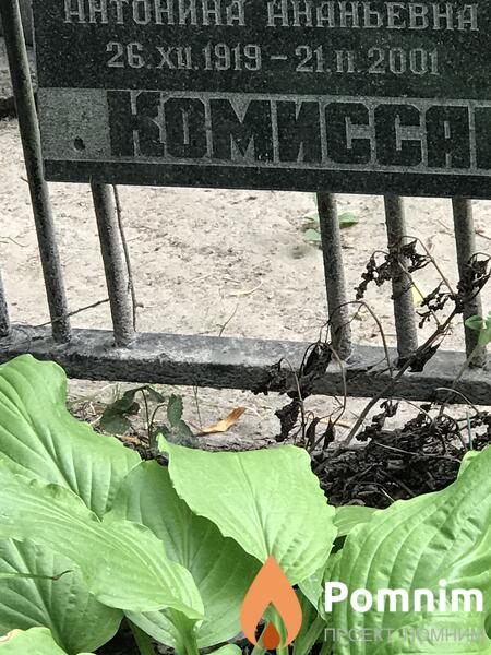 Комисаров Антонина Ананьевна