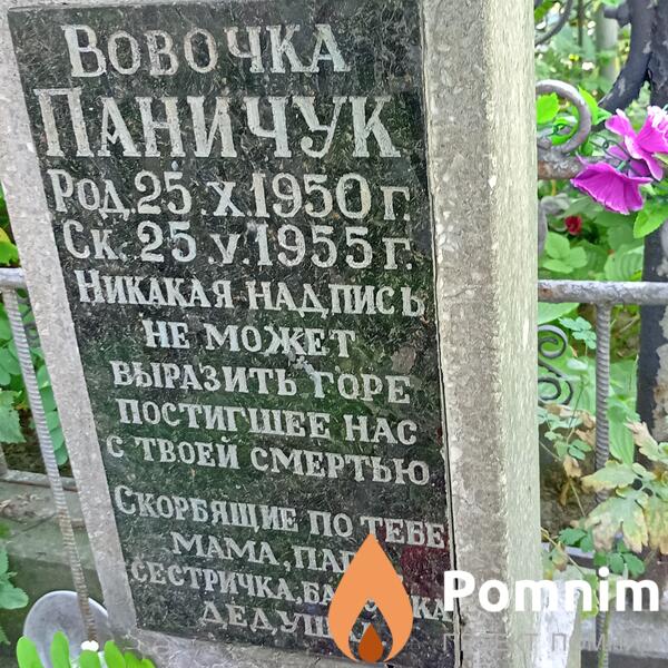 Паничук Владимир