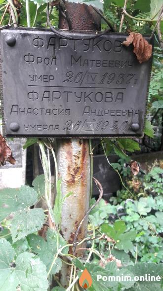 Фартукова Анастасия Андреевна