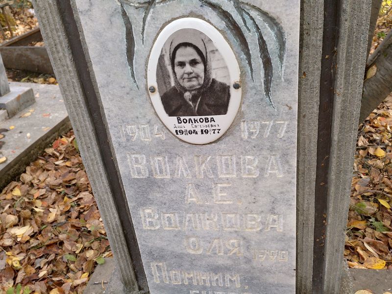 Волкова