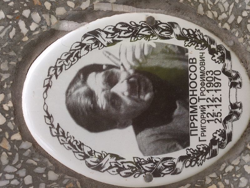 Прямоносов