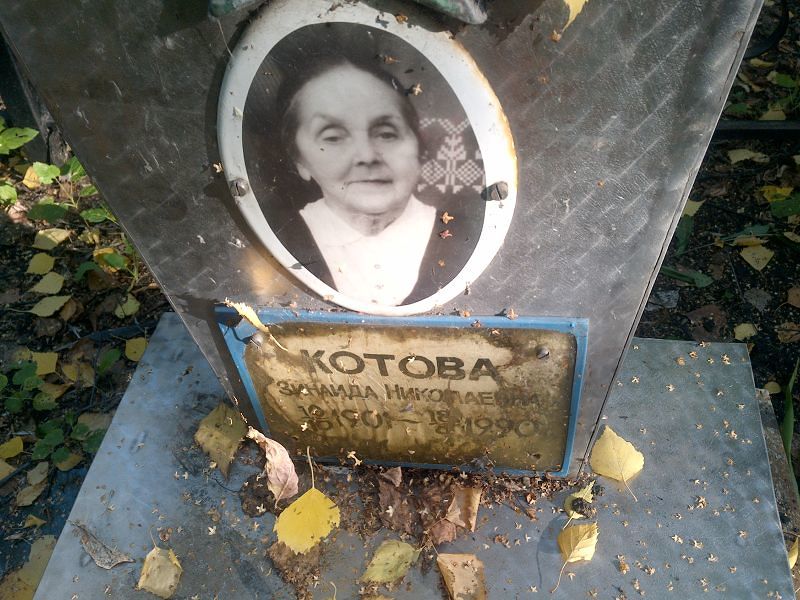 Котова