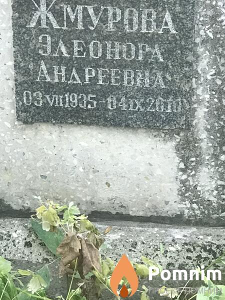 Жмурова Эленора Андреевна