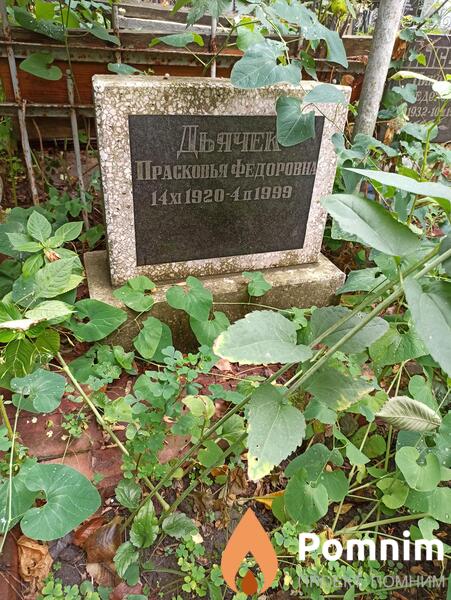 Дьячек Прасковья Федоровна