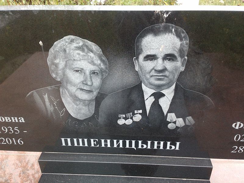 Пшеницына
