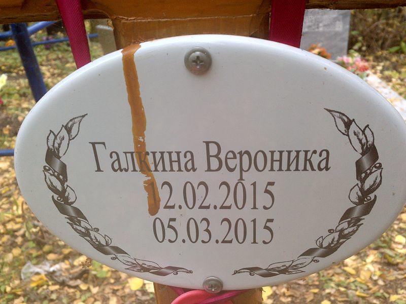 Вероника Галкина