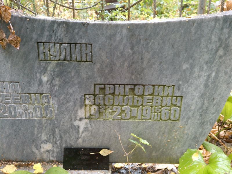 Кулик