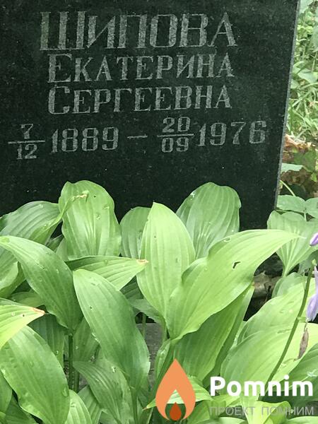 Шипова Екатерина Сергеевна