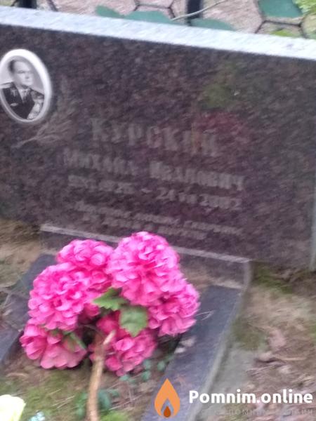 Курский Михаил Иванович