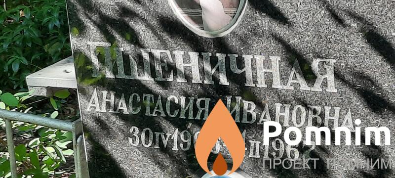 Пшеничная Анастасия Ивановна