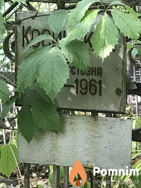 Косинская Елена Сильвестровна