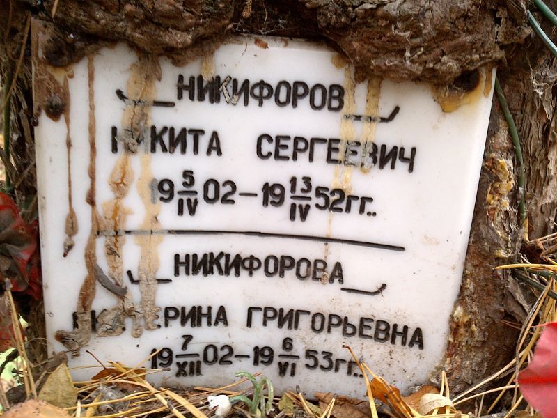 Никифоров Никита Сергеевич