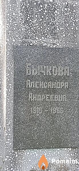 Бычкова Александра Андреевна