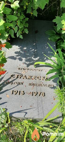 Стражеско Дмитрий Николаевич